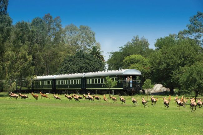 Rovos Rail 2025