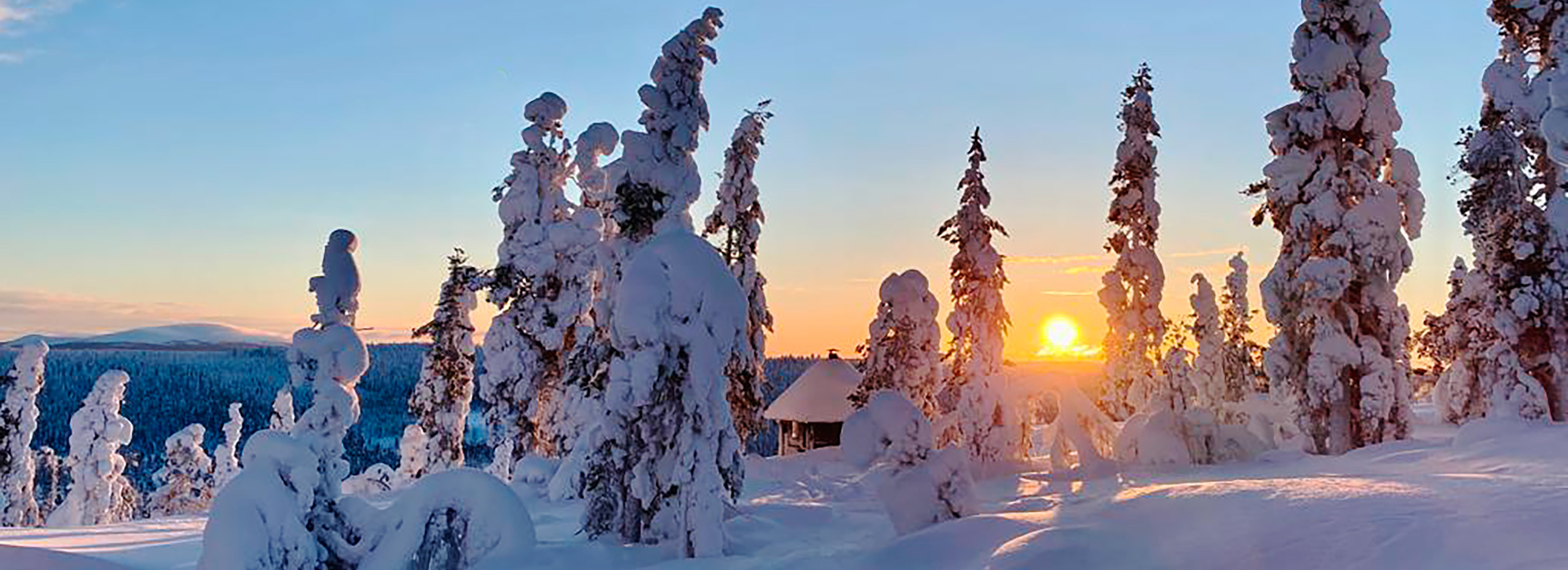 Frosty morning and sunrise in the snowy forest of Lapland.